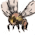 Sweet Bee no.10