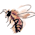 Sweet Bee no.19