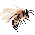 Sweet Bee no.2