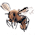 Sweet Bee no.21
