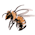 Sweet Bee no.4