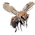 Sweet Bee Number 5