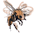 Sweet Bee no.8