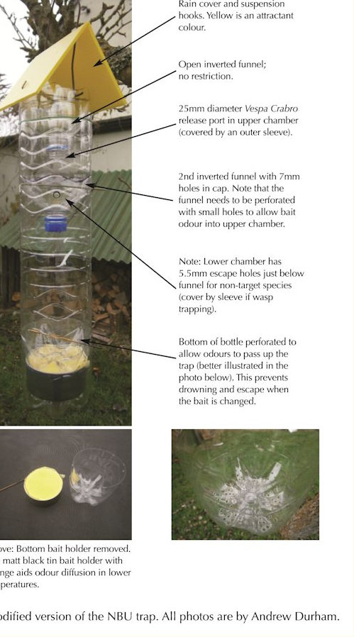 An Asian Hornet trap