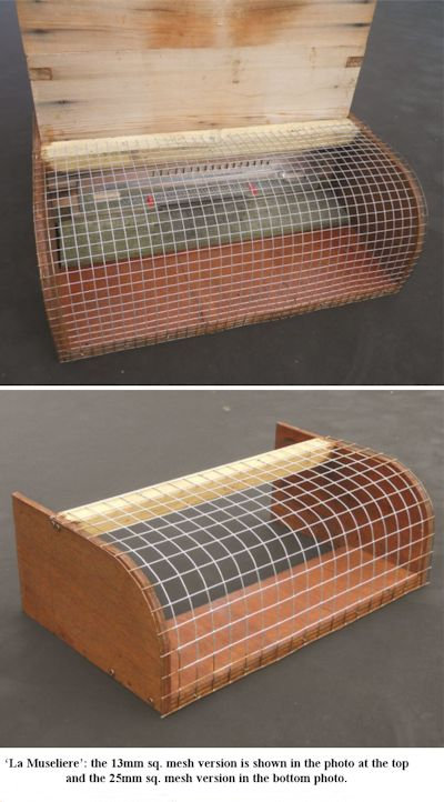 An Asian Hornet trap