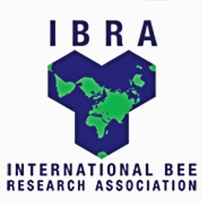 IBRA logo