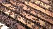 Beekeeper Selling-up